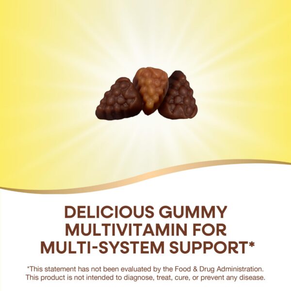 Gomitas Nature's Way Alive con vitaminas y minerales para adultos