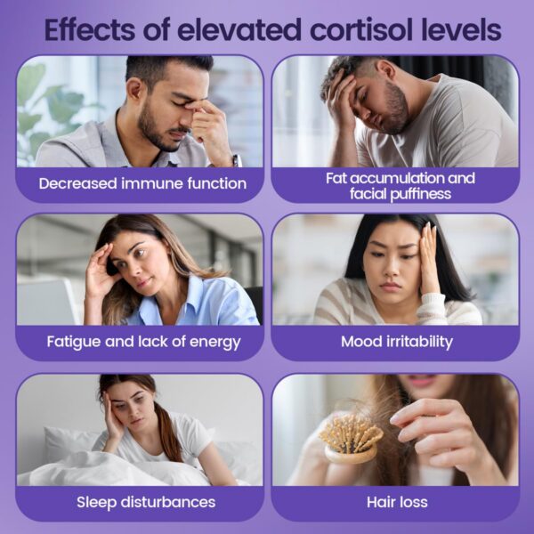 Version 1.0.0 Gomitas NOORUZ detalle ingredientes naturales para el bienestar