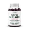Gomitas orgánicas de shilajit Organics Ocean para hombres y mujeres