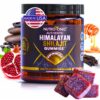 Gomitas orgánicas SHILAJIT sabor granada NutroTonic envase frente