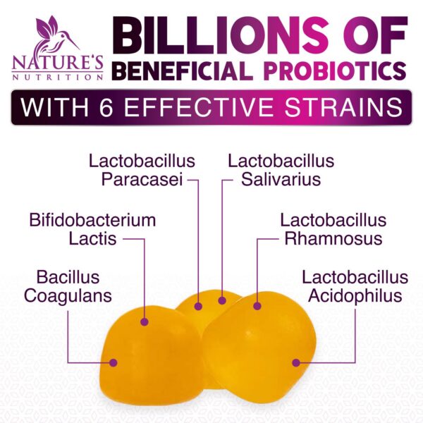 Version 1.0.0 Gomitas probióticas para hombres y mujeres apoyo digestivo y vaginal