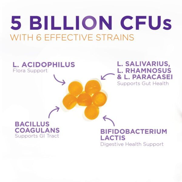 Gomitas probióticas Health Nutrition Naturals presentación de ingredientes naturales