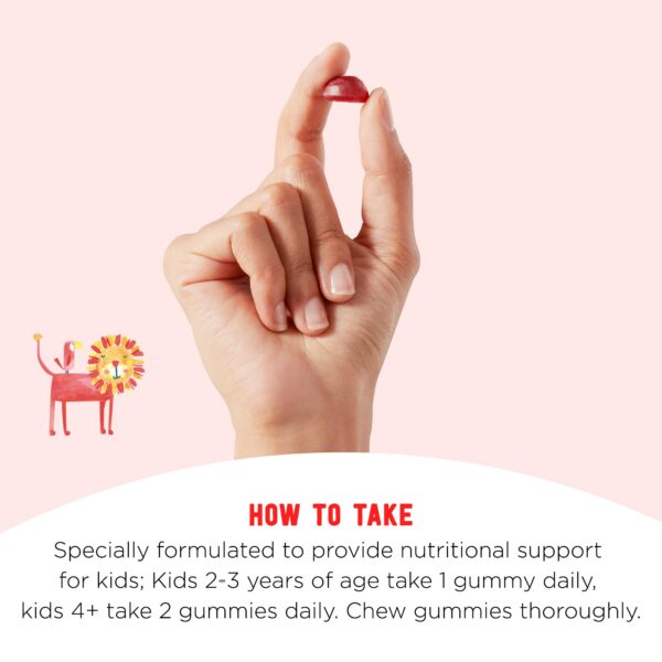 Version 1.0.0 Gomitas probióticas veganas niños 60 unidades