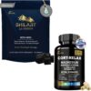 Gomitas Shilajit Ashwagandha DLNIA dúo de suplementos naturales