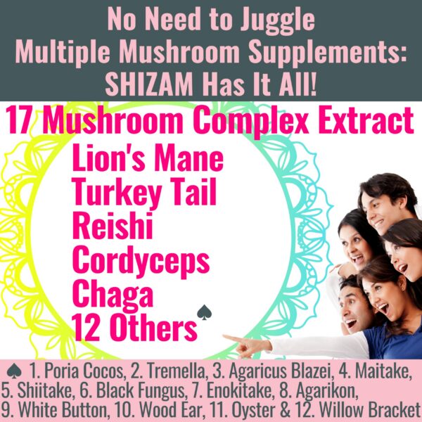 Version 1.0.0 Gomitas SHIZAM mezcla hongos reishi lions mane