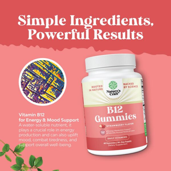 Version 1.0.0 Gomitas sin azúcar vitamina b12 apoyo energético