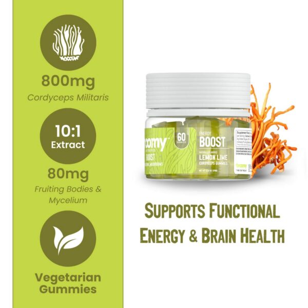 Version 1.0.0 Gomitas Troomy Boost Cordyceps natural para energía