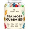 Gomitas TrueSeaMoss de musgo irlandés para apoyo inmunológico