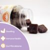 Gomitas veganas para apoyo del sistema inmune y salud intestinal