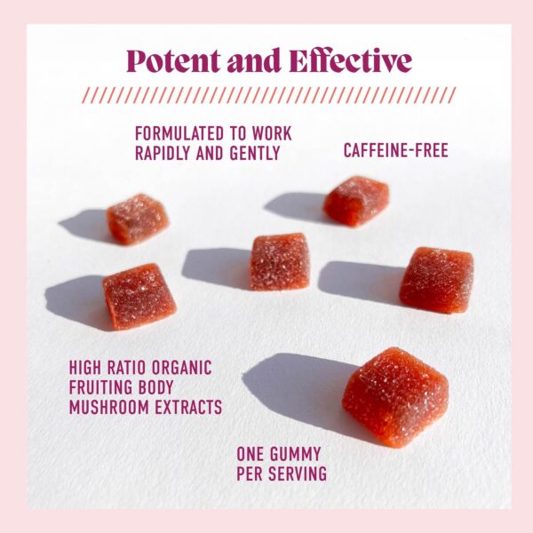 Version 1.0.0 Gomitas veganas sin gluten con sabor a baya para energía y enfoque