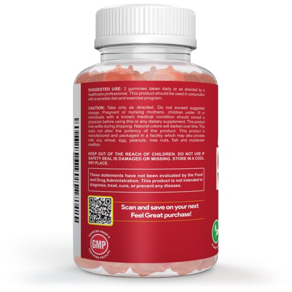 Version 1.0.0 Gomitas de vinagre de sidra de manzana para apoyo digestivo