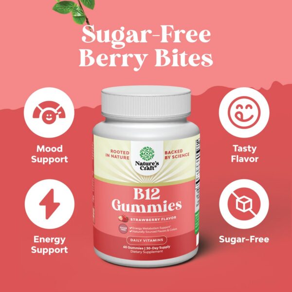 Gomitas de vitamina B12 Natures Craft para adultos