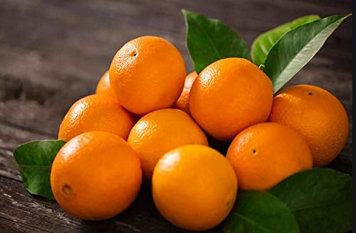 Etiqueta lateral botella gomitas vitamina C Best Earth Naturals