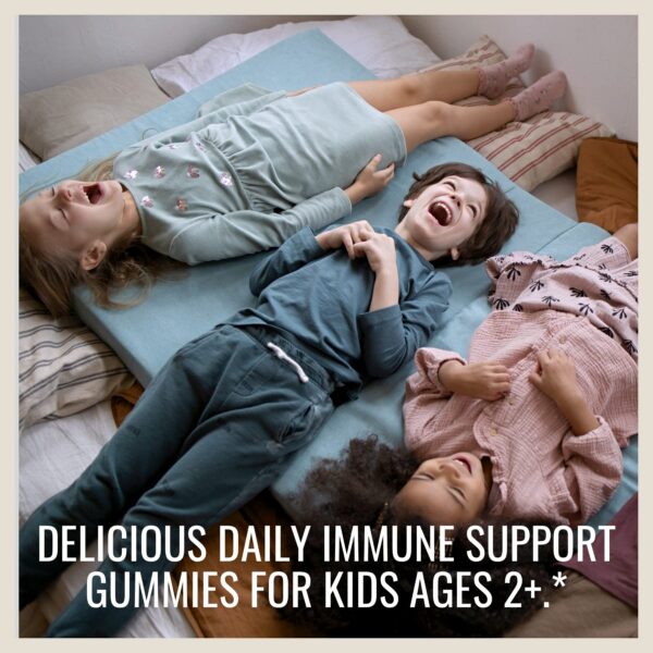 Gomitas con vitamina C y zinc Saúco Nature’s Way niños