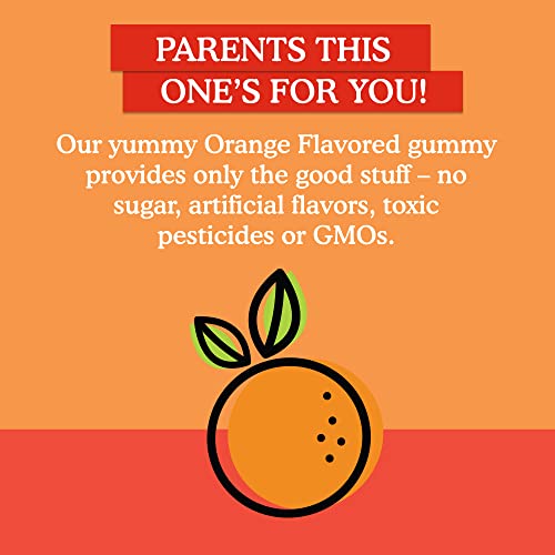 Version 1.0.0 Gomitas vitamina d garden of life empatadas