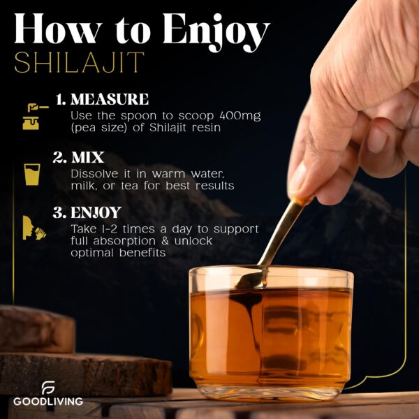 Version 1.0.0 GoodLiving Shilajit resina Himalaya etiqueta