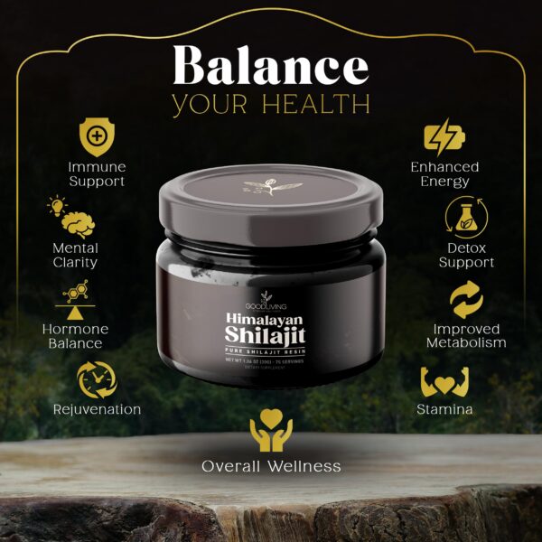 GoodLiving Shilajit resina Himalaya minerales