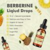 Gotas berberina B BEWORTHS ingredientes naturales