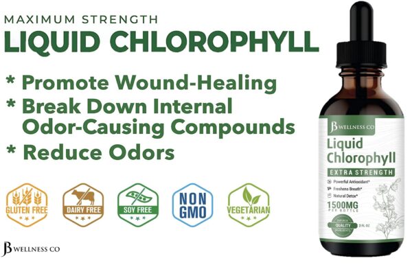 Gotas clorofila liquida pack de 2 240 dosis JB Wellness