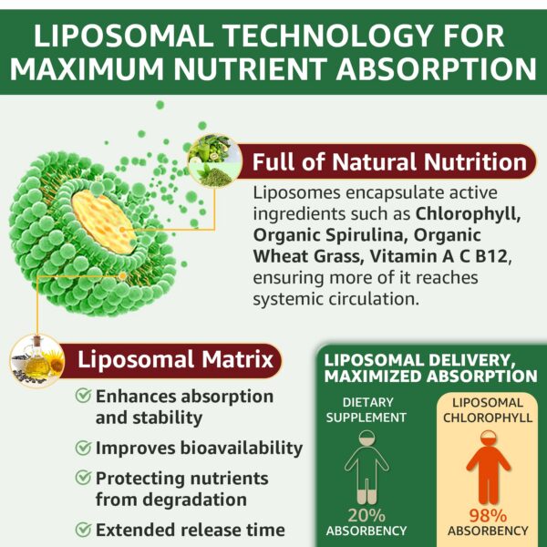 Gotas clorofila sabor menta refrescante para bienestar