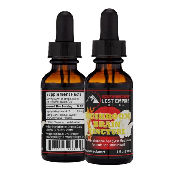 Gotas del extracto dual de hongos Mushroom Brain para mente clara