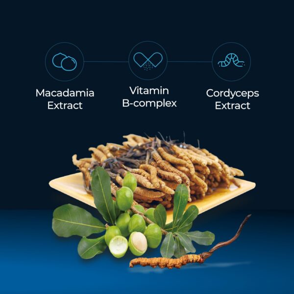 Gotas líquidas Cordyceps Plus con extracto natural y macadamia