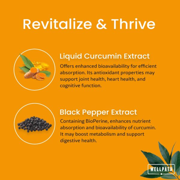 Version 1.0.0 Gotas líquidas de cúrcuma con alta biodisponibilidad WellPath