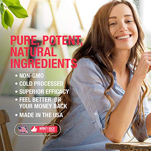 Gotas líquidas de HoneyCombs Ginkgo Biloba para concentración y enfoque