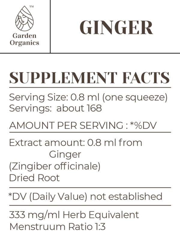 Gotas líquidas tintura de jengibre 100% natural