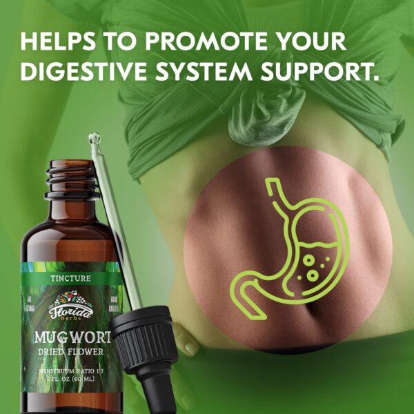 Gotas naturales artemisa para apoyo sueño 2 fl oz