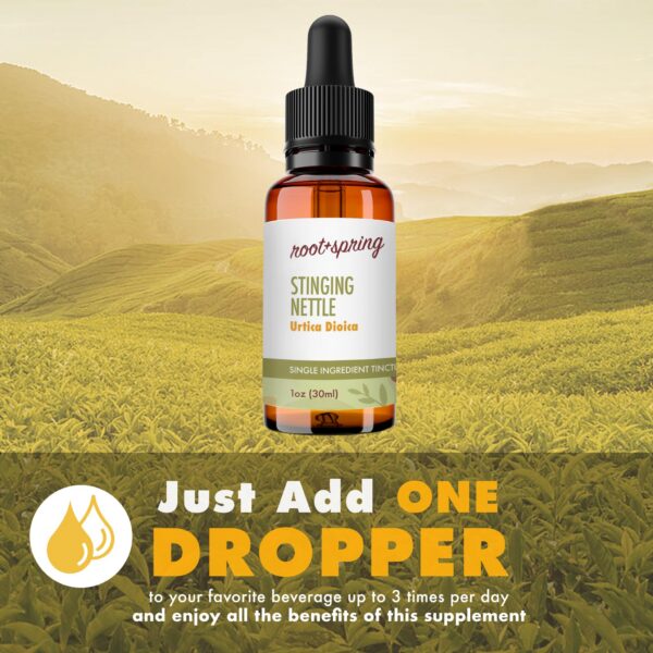 Gotas de tintura de ortiga para uso diario