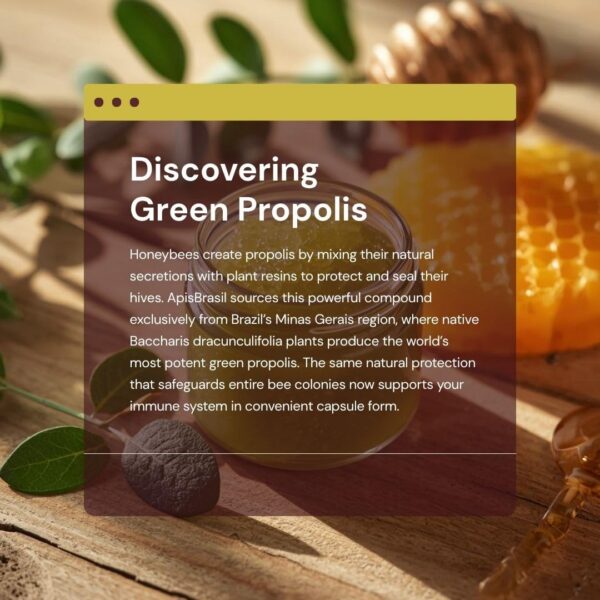 Gotero de extracto de propóleo