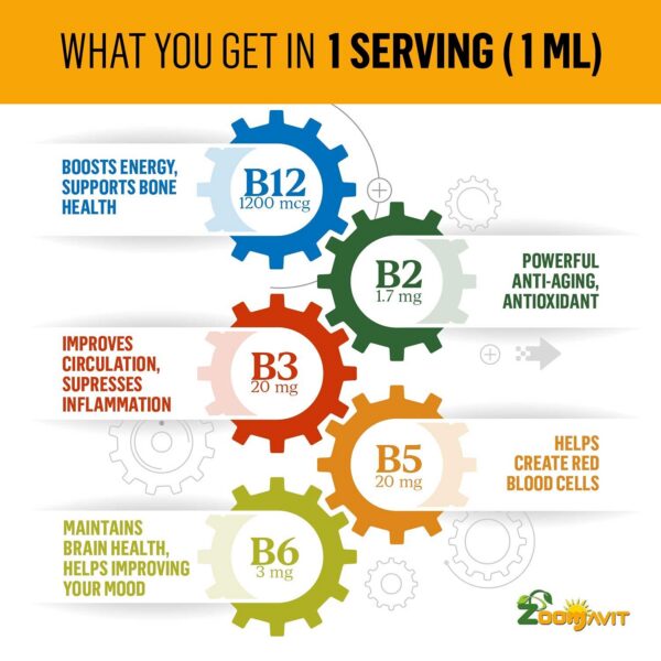 Gotero Zoomavit vitaminas B2 B3 B5 B6 B12 para salud energética