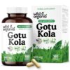 Version 1.0.0 Frasco de cápsulas de gotu kola orgánica para apoyo cerebral
