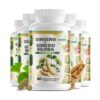 Version 1.0.0 GreeNatr suplemento de Ginkgo Biloba y Ginseng Rojo en tabletas
