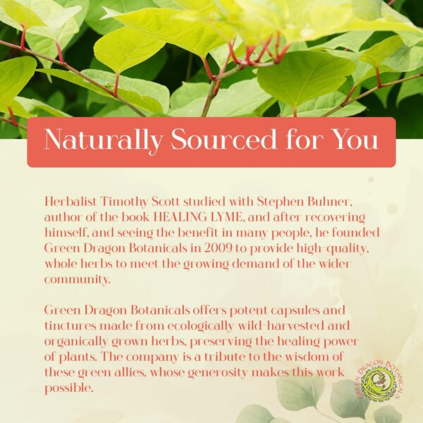 Version 1.0.0 Cápsulas Knotweed japonés 500 mg