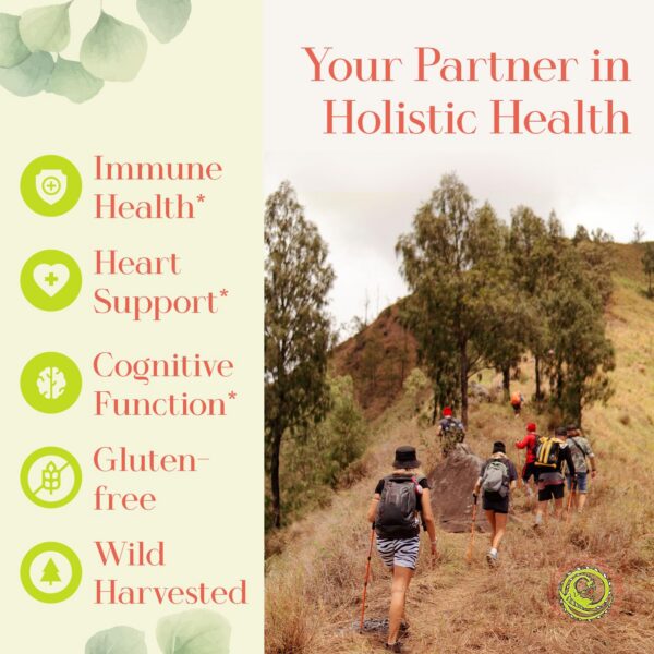 Etiqueta de Knotweed Green Dragon