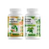 Suplemento GreeNatr con Ginkgo Biloba y Panax Ginseng para energía y enfoque