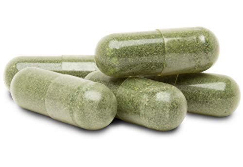 Greenleaf Nature's Solution Greenfood Plus polvo en bote