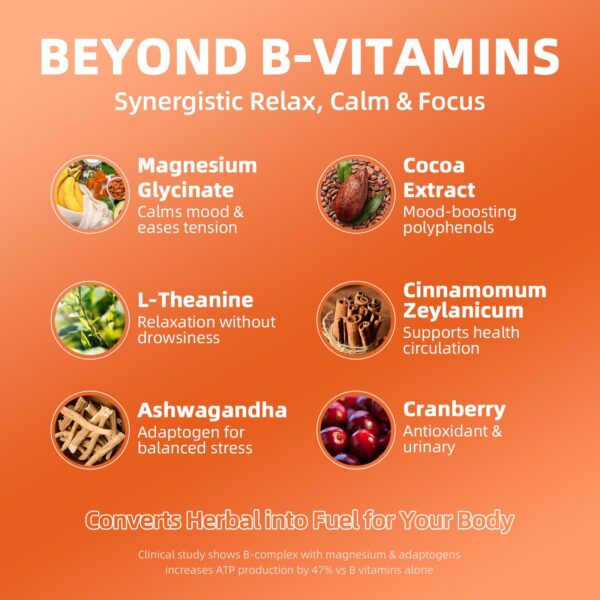 Detalle de 5-MTHF y B12 en la etiqueta