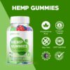 Version 1.0.0 Etiqueta y frasco de Greenvibe Hemp Gummies