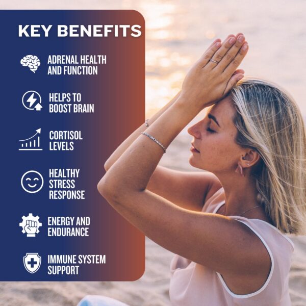 Blíster de cápsulas visible