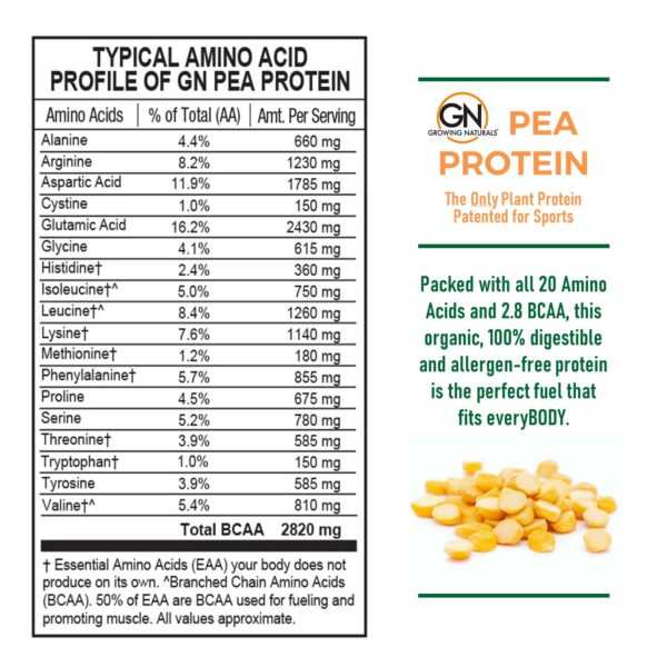 Frasco de polvo de proteína de guisante
