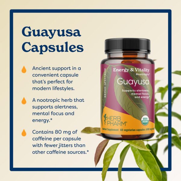 Guayusa extracto herbal en cápsulas orgánicas