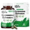 Frasco de cápsulas de Gymnema Sylvestre orgánico para salud general
