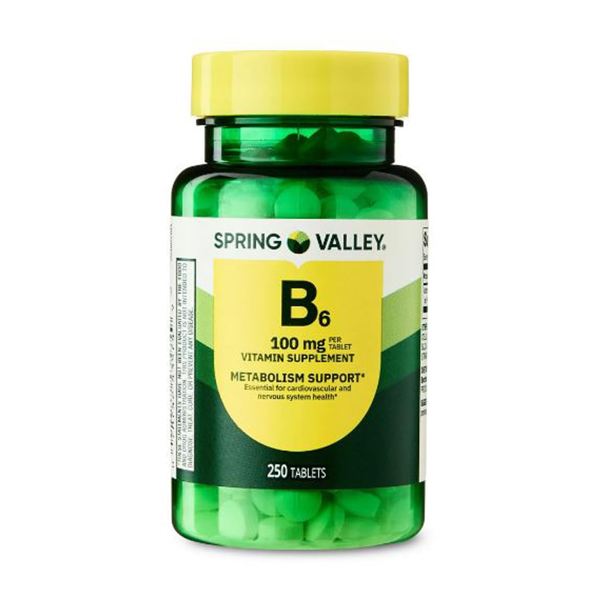 H4U Spring Valley Vitamina B6 100 mg 250 tabletas pack