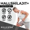 Version 1.0.0 hallusa natural extracto puro shilajit 1000 mg 60 cápsulas