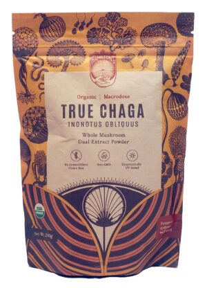 Polvo de extracto de Chaga orgánico Hamilton's en envase