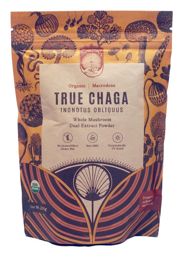 Polvo de extracto de Chaga orgánico Hamilton's en envase