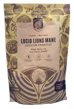 Version 1.0.0 Paquete de polvo de extracto de hongo Melena de León Hamilton's 500g